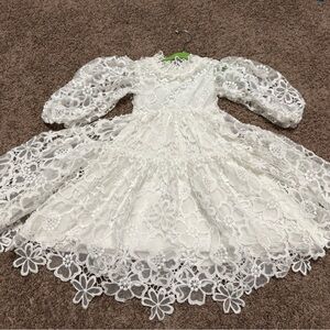 Stunning Petite Amalie Lace Dress - Worn Once!